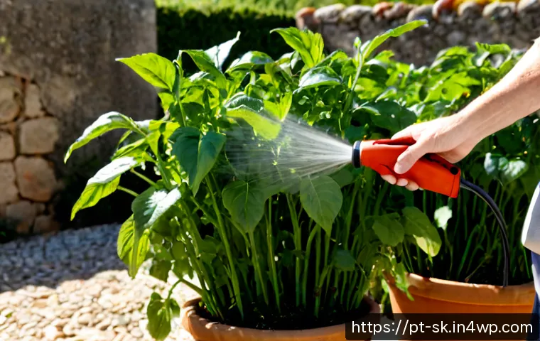 Home 17 정원에서의 유기농 해충 방제 전략 - Photorealistic organic vegetable garden in Portugal, an older gardener gently spraying a homemade na...